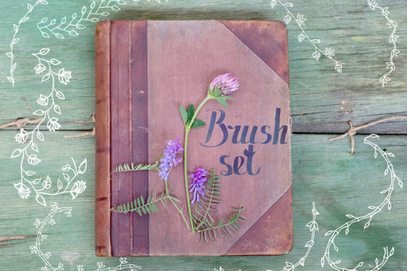 Download Set of Brushes for Adobe Illustrator - Premium Bundle